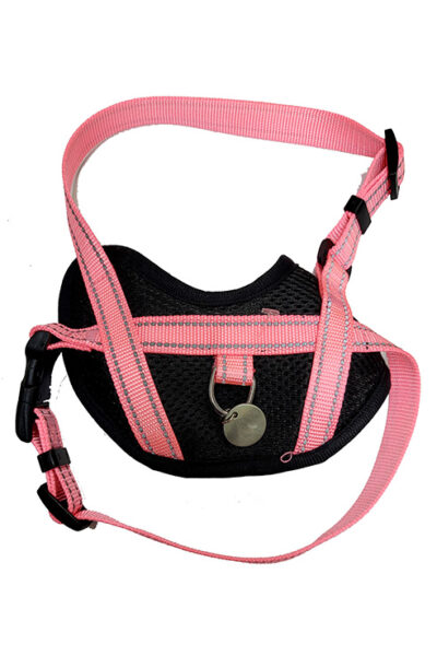 ARNES AGIL XS 31-43X29-42CMS ROSA