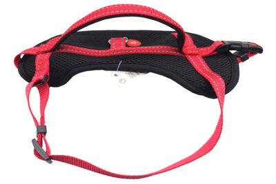 ARNES AGIL S 39-50X37-53CMS ROJO