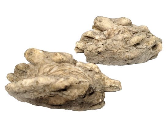 ROCAS DECORATIVAS MIX FORMAS 12X10CMS