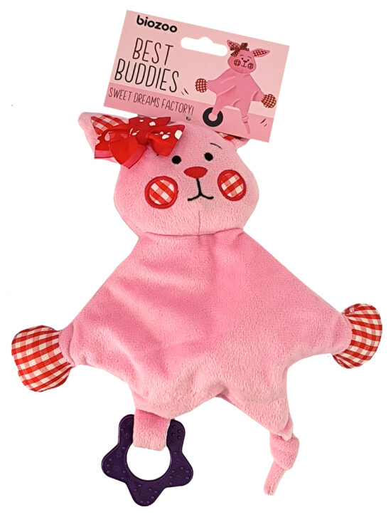 BEST BUDDIES 26CMS ROSA