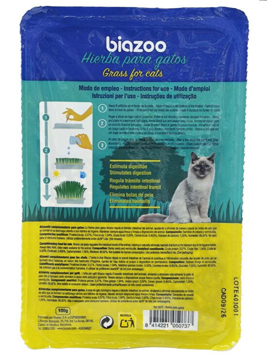 HIERBA DE GATOS 100G