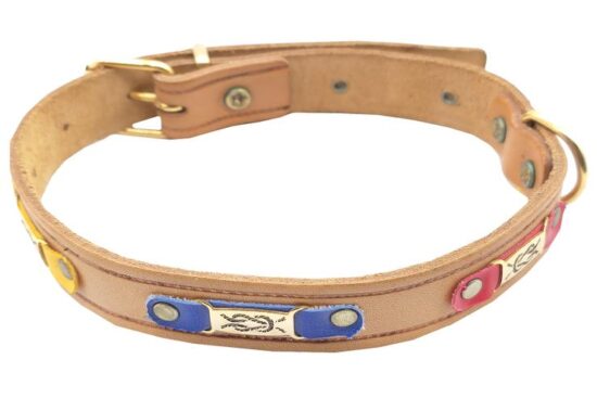 COLLAR IBIZA N3 25.0MMX36.0-50.0CMS