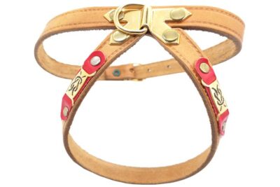 PETRAL IBIZA N1 20.0MMX20.0-30.0CMS