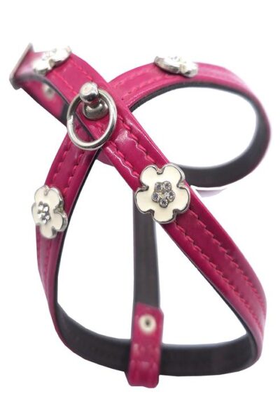 PETRAL DLUXE FLORES BRILLANTES 12.0MMX16.0C-20.0-30.0A