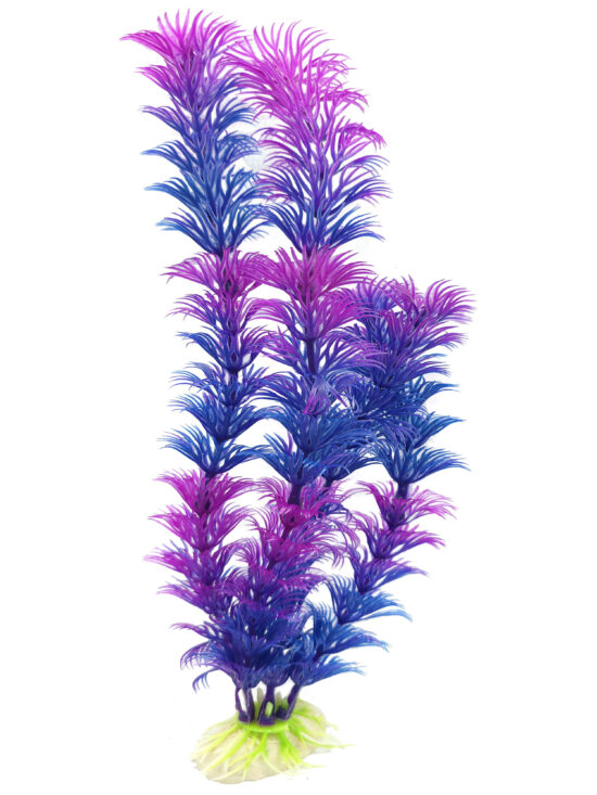 PLANTA 8.0X30.0øCMS 1UNDS
