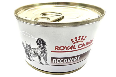 RCVET DOG CAT RECOVERY 195G LATA