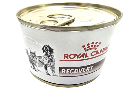 RCVET DOG CAT RECOVERY 195G LATA