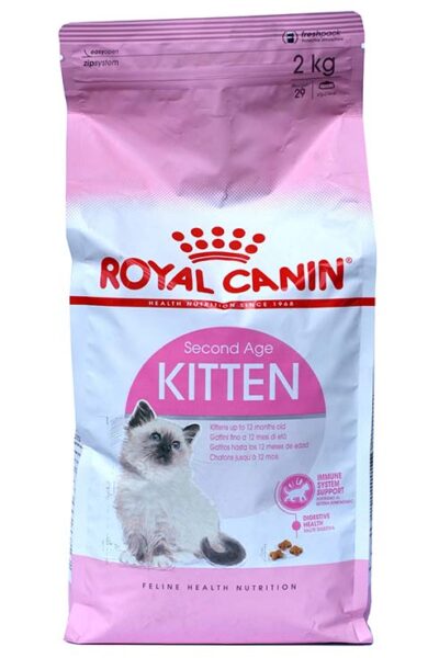 RC CAT KITTEN 36 2 AGE 2KG