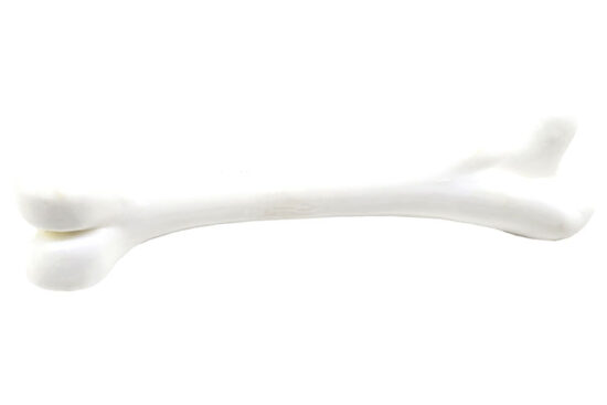 HUESO MACIZO BLANCO 15CMS