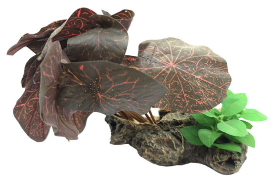 PLANTAS SOBRE ROCAS 14.0X10.0X16.0CMS