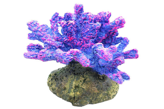 CORAL MARINO 16.5X15.0X14.0CMS