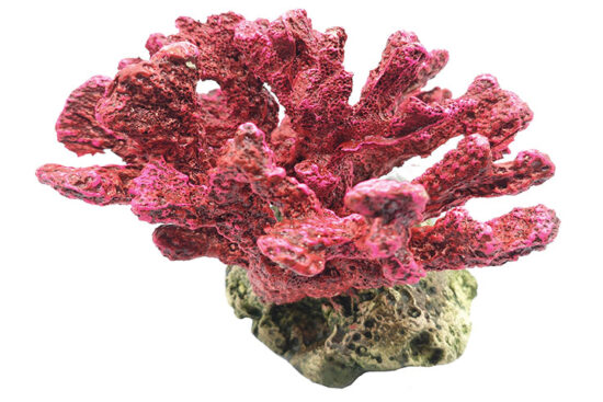 CORAL MARINO 14.0øX16.0CMS
