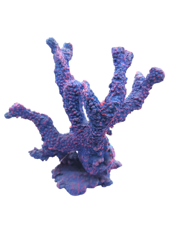 CORAL VIOLETA AZUL 17.0X9.0X24.0CMS