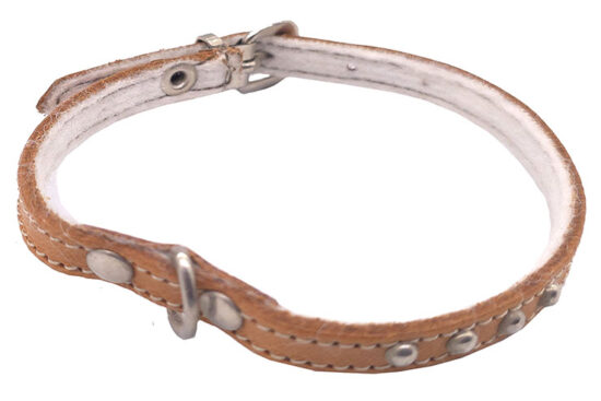 COLLAR CUERO FELPA 10MMX30CMS