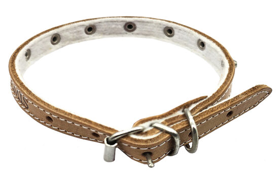 COLLAR FORNITURA FELPA 14.0MMX35.0CMS