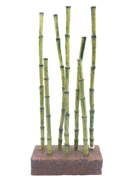 BROTES DE BAMBU 11.5X4.0X24.0CMS