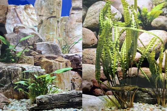 POSTER 30CMS-15MT DOBLE PIEDRAS/ROCAS