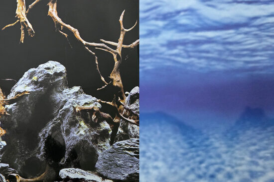 POSTER 61CMSX7.6MT 3D SENCILLO MARINO / RAICES Y ROCAS