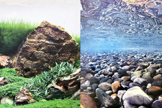 POSTER 50CMSX15MT DOBLE MARINO ROCOSO/PLANTAS Y ROCAS