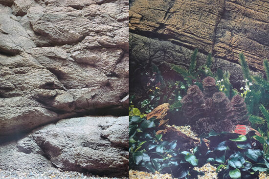 POSTER 50CMS-15MT 3D DOBLE PLANTAS TRONCO / FONDO ROCOSO