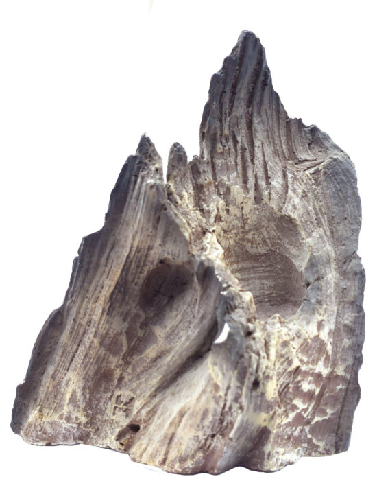 BEACH WOOD ROCA 11.0X8.0X13.0CMS