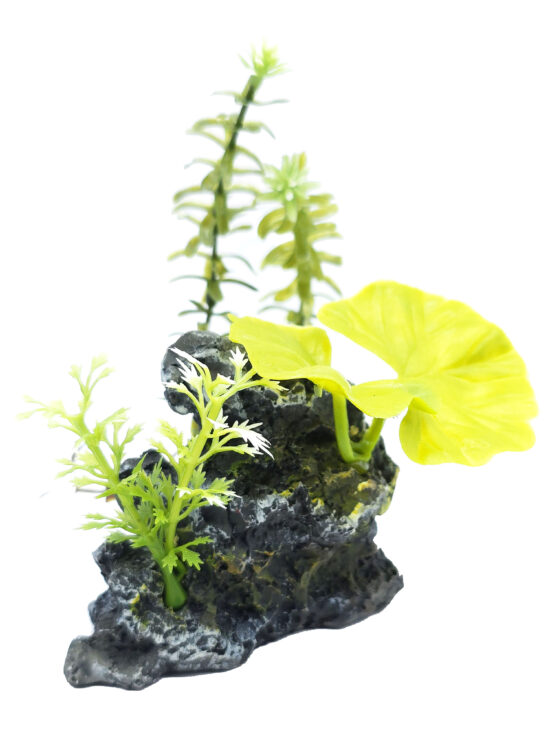 DECO ROCK PEQ CON PLANTAS 9.0X3.0X12.0CMS