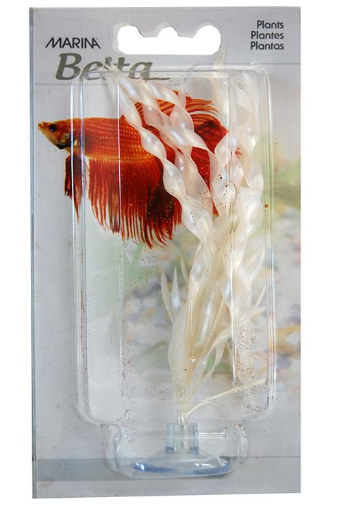 VALLISNERIA 12,5CM CON VENTOSA