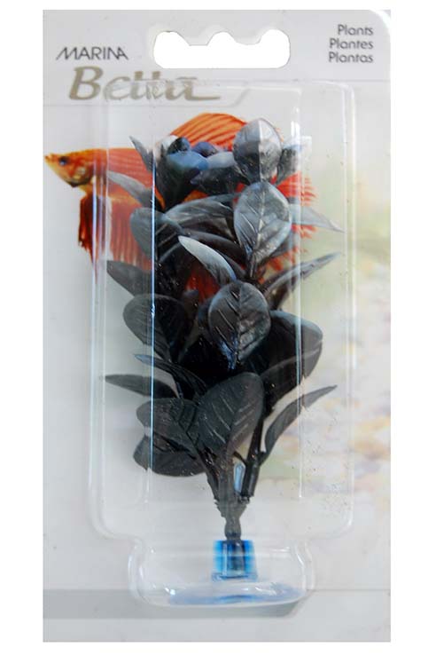 LUDWIGIA 12,5CM CON VENTOSA
