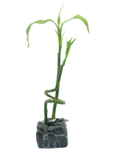 BAMBU PARA BETA KIT 6.0X6.0X27.0CMS