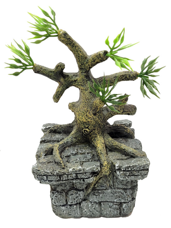 BONSAI PARA BETA KIT 7.0X7.0X13.0CMS
