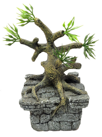 BONSAI PARA BETA KIT 7.0X7.0X13.0CMS