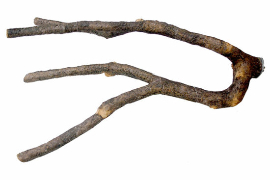 PERCHA PEQ NATURE 24.0CMS