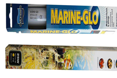 MARINE GLO T8 74CMS 75W FLUORESCENTE