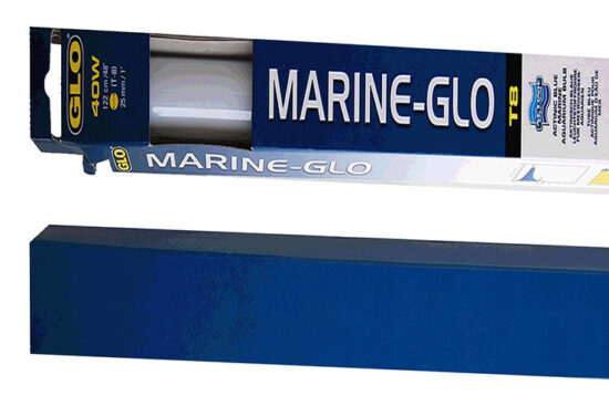 MARINE GLO T8 122CMS 40W FLUORESCENTE