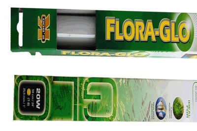 FLORA GLO T8 59CMS 20W FLUORESCENTE