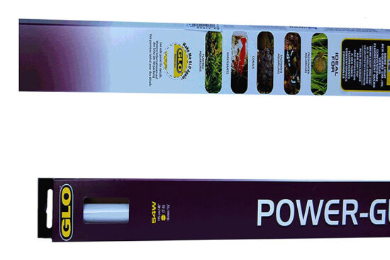 POWER GLO T8 122CMS 40W FLUORESCENTE