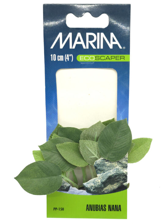 ECOSCAPER ANUBIAS NANA 10.0CMS