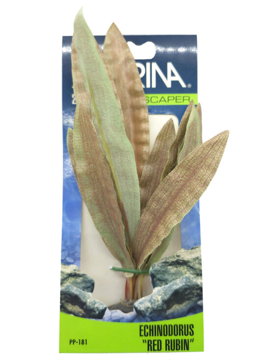 ECOSCAPER ECHINODORUS RUBIN RED 20.0CMS