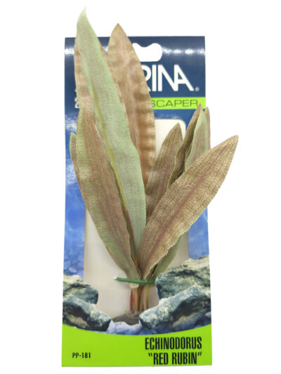 ECOSCAPER ECHINODORUS RUBIN RED 20.0CMS