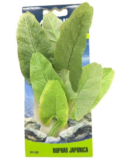 ECOSCAPER NYNPHAEA JAPONICA 20.0CMS