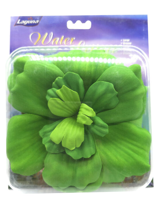 LECHUGA DE AGUA 17,5 CMS
