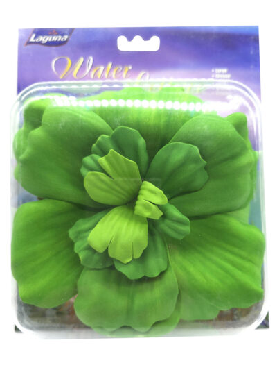 LECHUGA DE AGUA 17,5 CMS
