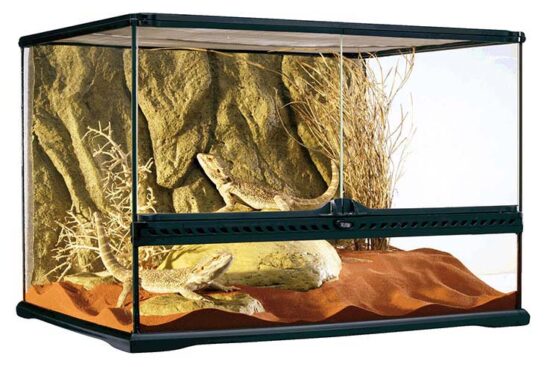 TERRARIO ET CRISTAL 60*45*45 CMS