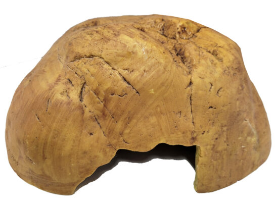 CUEVA EXTRA GRANDE ET 29.5øX19CMS
