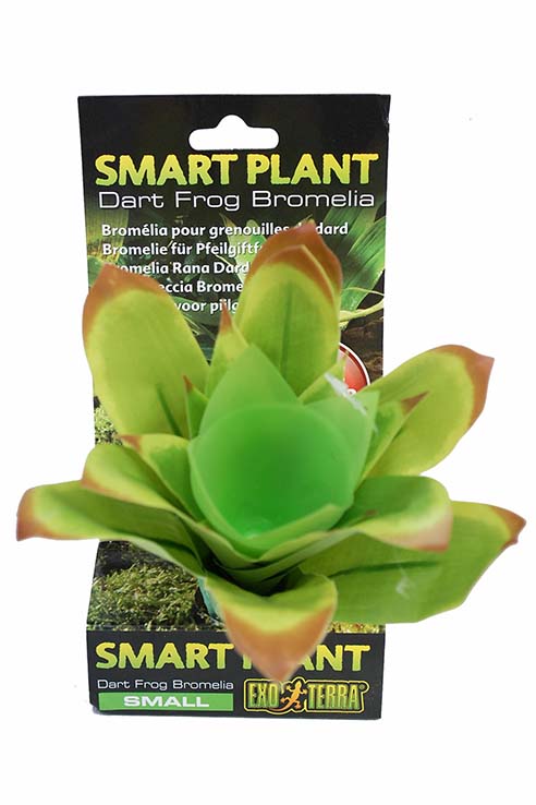 PLANTA BROMELIA PEQ 10.0øX30.0CMS