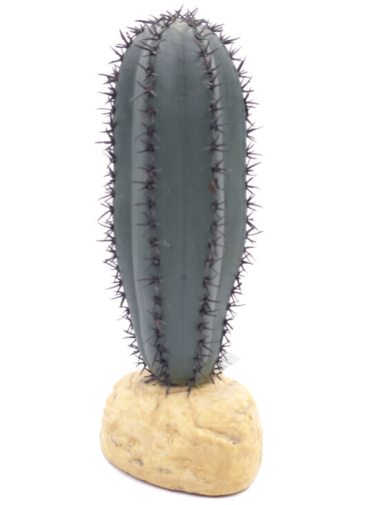 CACTUS SAGUARO 6.5øX16.5CMS