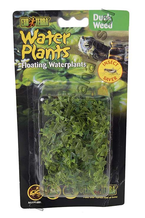 PLANTA DUCK WEEK FLOTANTE 15.0CMS