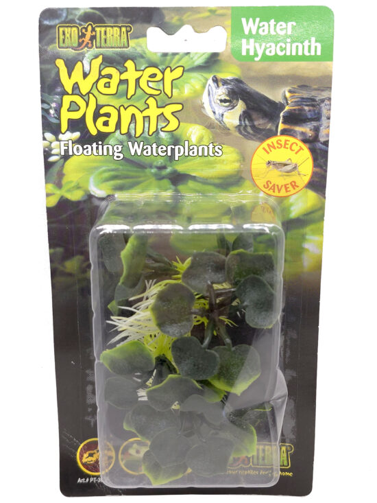 PLANTA WATER HYACINTHUS FLOTANTE 15.0CMS
