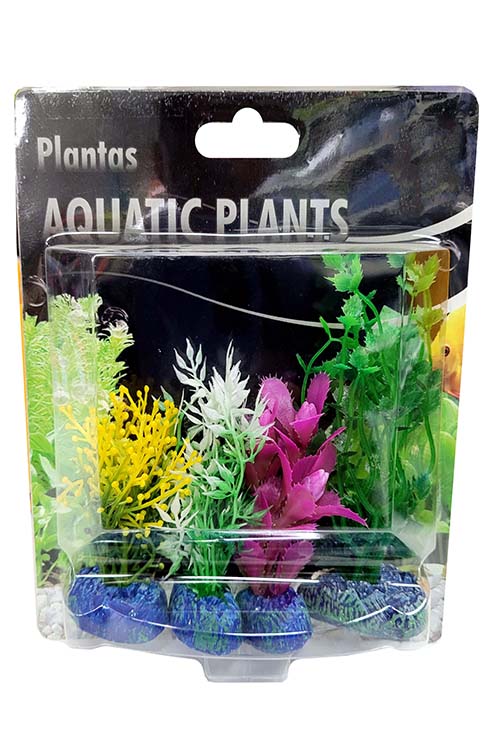 PLANTAS 4UNDS VARIDAS