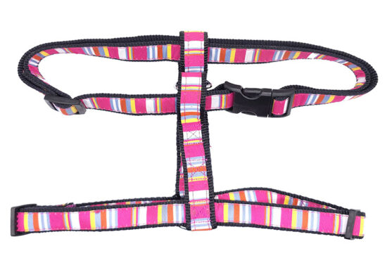 ARNES ROSA 20X50X70